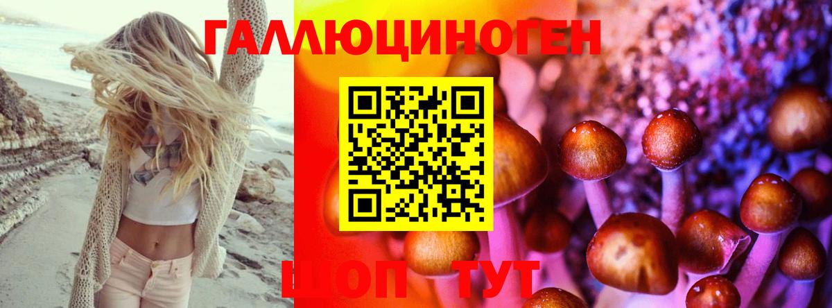 Улан-Удэ  Псилоцибиновые грибы Psilocybine cubensis  Вход с VPN 